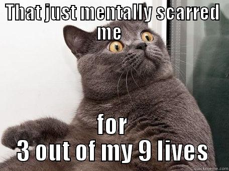 scarred for life - THAT JUST MENTALLY SCARRED ME   FOR 3 OUT OF MY 9 LIVES conspiracy cat
