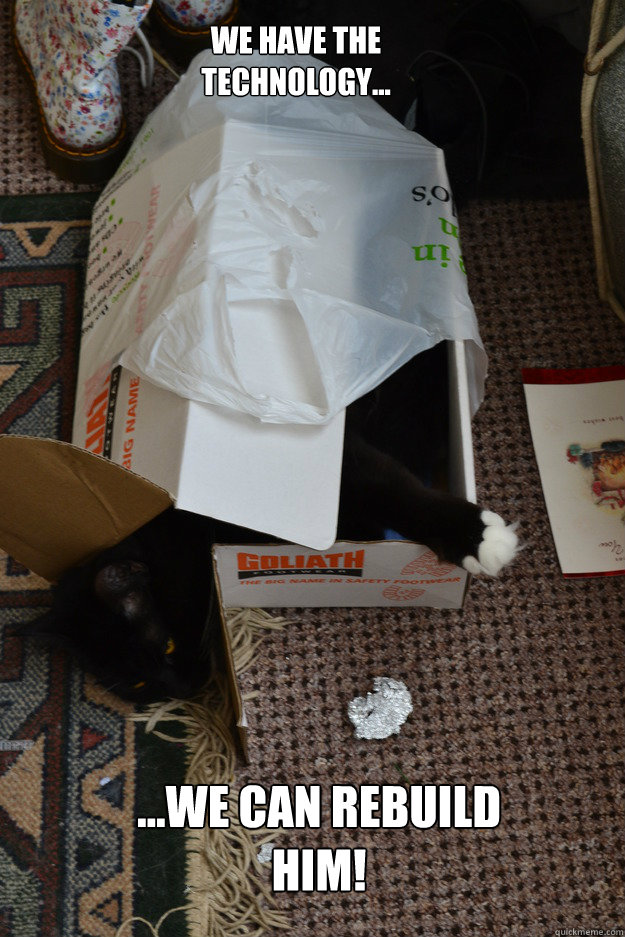 ...we can rebuild him! We have the technology... - ...we can rebuild him! We have the technology...  Robo-cat