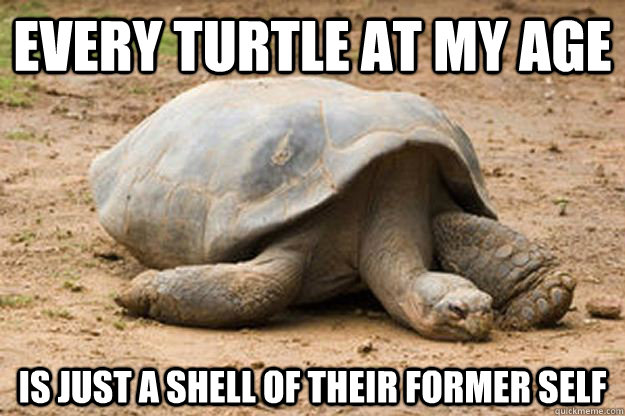 every turtle at my age is just a shell of their former self - every turtle at my age is just a shell of their former self  Depression Turtle