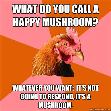 What do you call a happy mushroom? Whatever you want:  it's not going to respond, it's a mushroom.  Anti-Joke Chicken