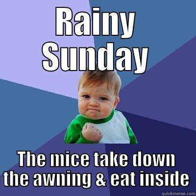 RAINY SUNDAY THE MICE TAKE DOWN THE AWNING & EAT INSIDE Success Kid