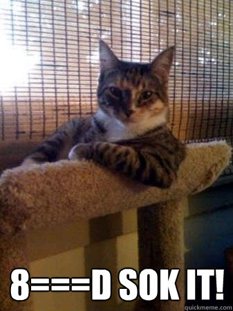  8===D Sok it!  The Most Interesting Cat in the World