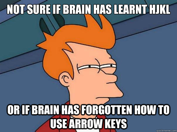 Not sure if brain has learnt hjkl or if brain has forgotten how to use arrow keys - Not sure if brain has learnt hjkl or if brain has forgotten how to use arrow keys  Futurama Fry