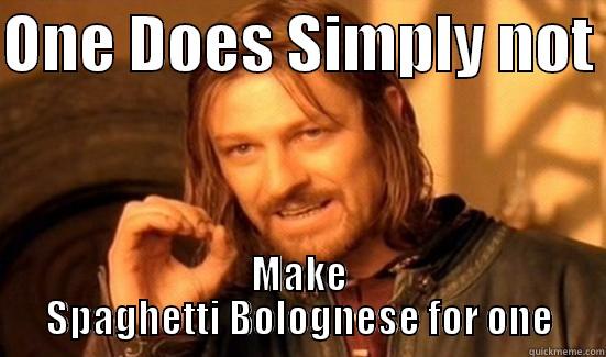 ONE DOES SIMPLY NOT  MAKE SPAGHETTI BOLOGNESE FOR ONE Boromir