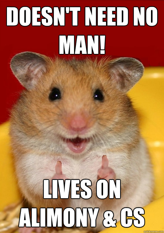 Doesn't need no man! Lives on Alimony & CS   Rationalization Hamster