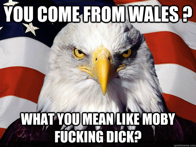You come from wales ? what you mean like moby fucking dick?  Evil American Eagle