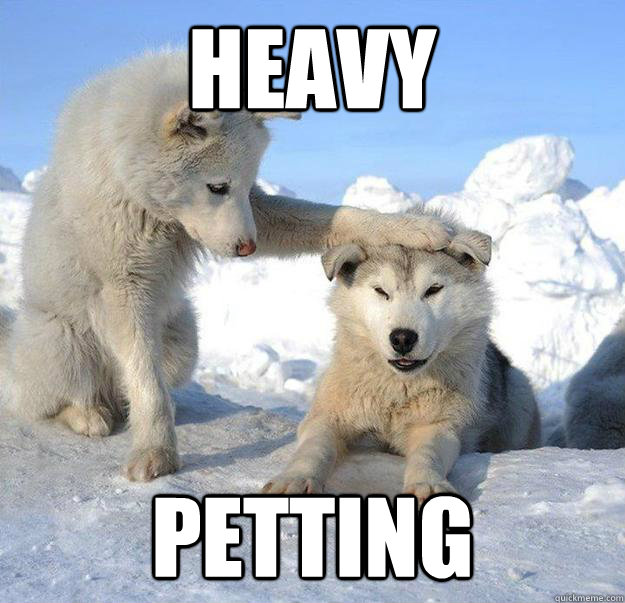 Heavy
 Petting  Caring Husky