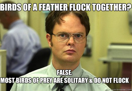 Birds of a feather flock together? False.
Most birds of prey are solitary & do not flock - Birds of a feather flock together? False.
Most birds of prey are solitary & do not flock  Schrute