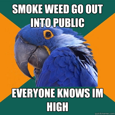 smoke weed go out into public everyone knows im high  Paranoid Parrot
