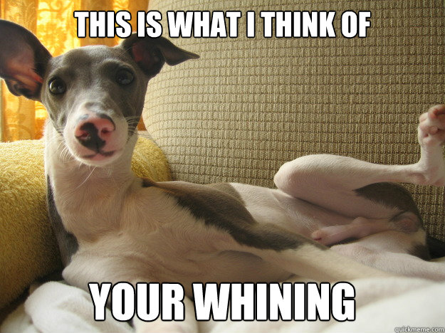 This is what I think of  your whining  whining
