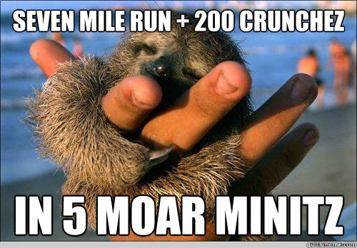 seven mile run + 200 crunchez in 5 moar minitz - seven mile run + 200 crunchez in 5 moar minitz  cute baby sloth