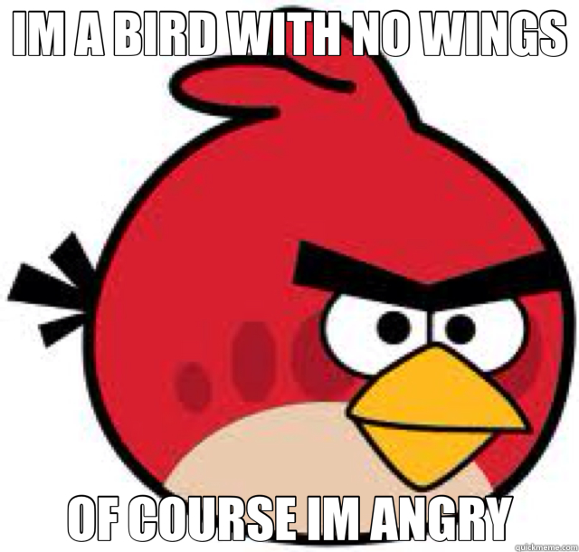 IM A BIRD WITH NO WINGS OF COURSE IM ANGRY  