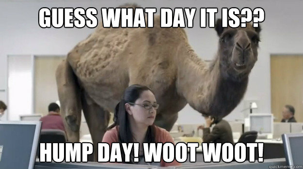 Guess what day it is?? hump day! woot woot!  