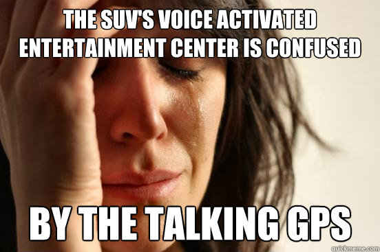 The SUv's voice activated entertainment center is confused by the talking gps  First World Problems
