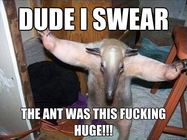 Dude I swear the ant was this fucking huge!!!  I got this