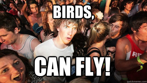 Birds,  Can Fly!  Sudden Clarity Clarence