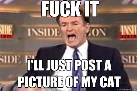 fuck it i'll just post a picture of my cat - fuck it i'll just post a picture of my cat  Fuck It Bill OReilly