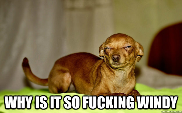  Why is it so fucking windy -  Why is it so fucking windy  Misc