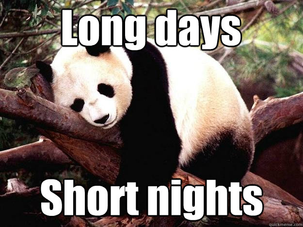 Long days Short nights - Long days Short nights  Procrastination Panda