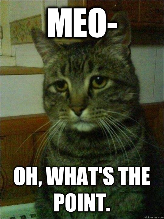 Meo- Oh, what's the point.  - Meo- Oh, what's the point.   Sad Cat Simon