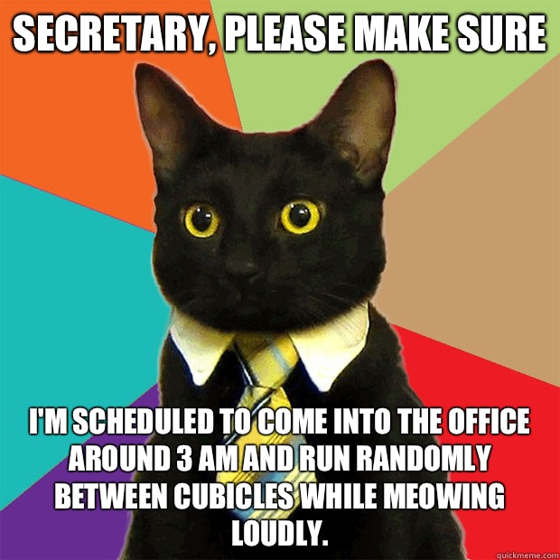 Secretary, please make sure  I'm scheduled to come into the office around 3 am and run randomly between cubicles while meowing loudly.  - Secretary, please make sure  I'm scheduled to come into the office around 3 am and run randomly between cubicles while meowing loudly.   Business Cat