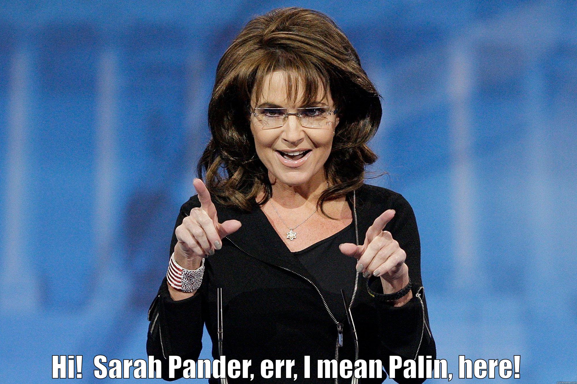  HI!  SARAH PANDER, ERR, I MEAN PALIN, HERE! Misc