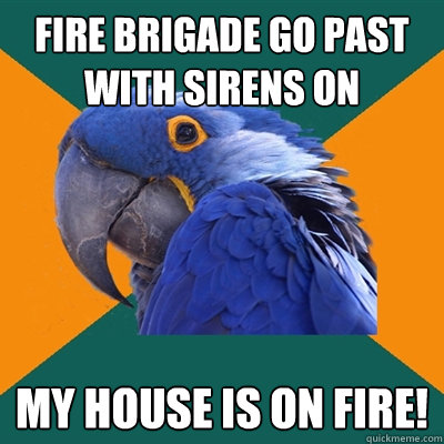 Fire brigade go past with sirens on My house is on fire!  Paranoid Parrot