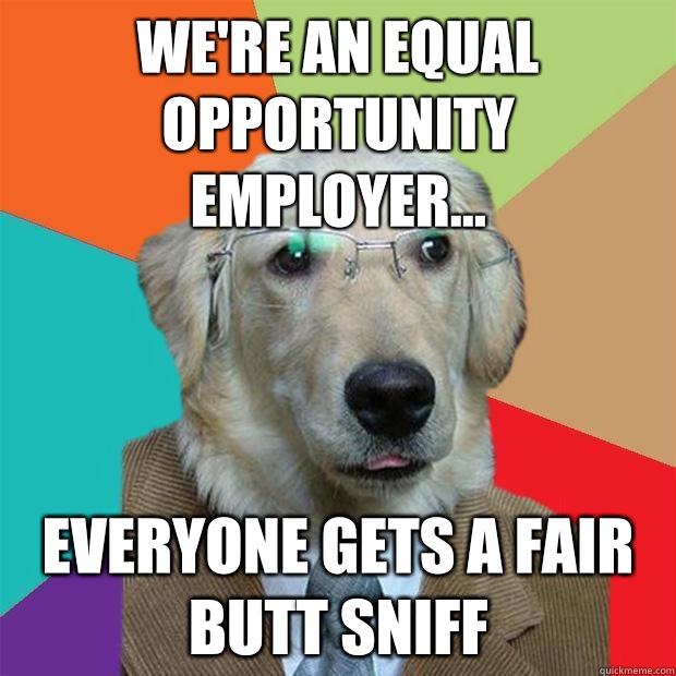 We're an equal opportunity employer... Everyone gets a fair butt sniff  Business Dog