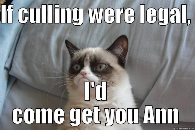 IF CULLING WERE LEGAL,  I'D COME GET YOU ANN Grumpy Cat