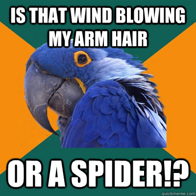 is that wind blowing my arm hair or a SPIDER!?  Paranoid Parrot
