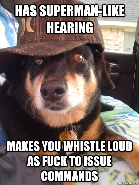Has superman-like hearing makes you whistle loud as fuck to issue commands   Scumbag dog