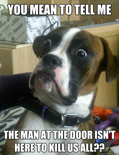 you mean to tell me THE MAN AT THE DOOR ISN'T HERE TO KILL US ALL?? - you mean to tell me THE MAN AT THE DOOR ISN'T HERE TO KILL US ALL??  Shocked Dog