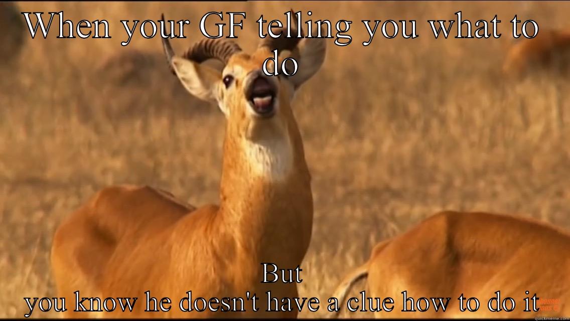WHEN YOUR GF TELLING YOU WHAT TO DO BUT YOU KNOW HE DOESN'T HAVE A CLUE HOW TO DO IT Misc