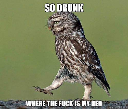 so drunk where the fuck is my bed  Blacked Out