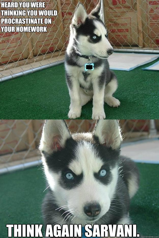 HEARD YOU WERE 
THINKING YOU WOULD 
PROCRASTINATE ON
YOUR HOMEWORK THINK AGAIN SARVANI.  Insanity puppy