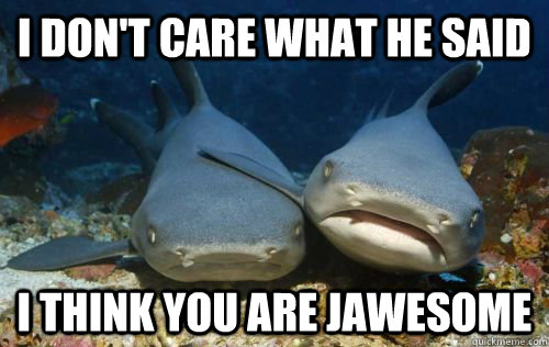 I don't care what he said i think you are jawesome - I don't care what he said i think you are jawesome  Compassionate Shark Friend