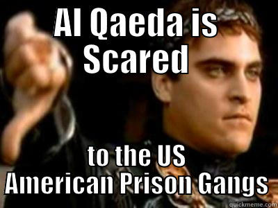 AL QAEDA IS SCARED TO THE US AMERICAN PRISON GANGS Downvoting Roman