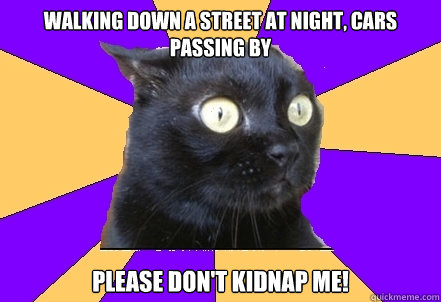 Walking down a street at night, cars passing by please don't kidnap me!  Anxiety Cat