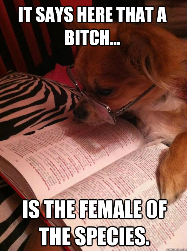 It says here that a bitch... is the female of the species. - It says here that a bitch... is the female of the species.  Ph.D Pup