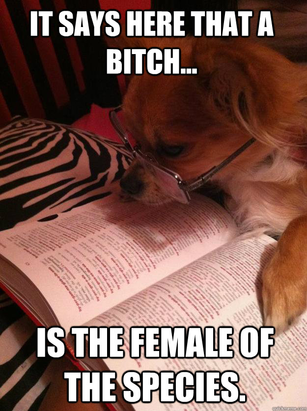 It says here that a bitch... is the female of the species.  