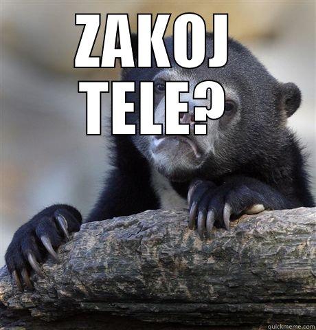 ZAKOJ TELE?  Confession Bear
