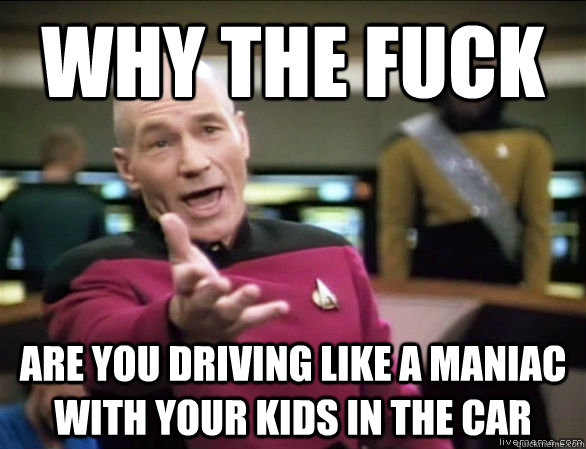 why the fuck are you driving like a maniac with your kids in the car  Annoyed Picard HD