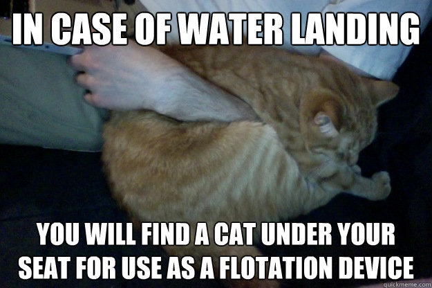 IN CASE OF WATER LANDING YOU WILL FIND A CAT UNDER YOUR SEAT FOR USE AS A FLOTATION DEVICE - IN CASE OF WATER LANDING YOU WILL FIND A CAT UNDER YOUR SEAT FOR USE AS A FLOTATION DEVICE  Round cat