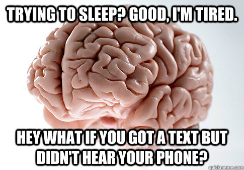 Trying to sleep? Good, I'm tired. Hey what if you got a text but didn't hear your phone? - Trying to sleep? Good, I'm tired. Hey what if you got a text but didn't hear your phone?  Scumbag Brain
