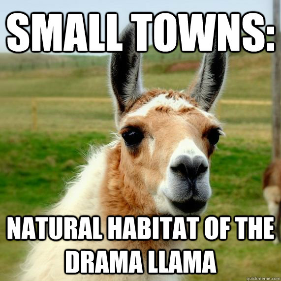 Small towns: Natural habitat of the Drama Llama - Small towns: Natural habitat of the Drama Llama  Drama Llama