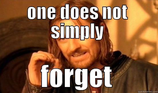 ONE DOES NOT SIMPLY FORGET Boromir