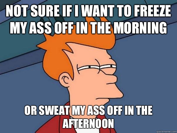 Not sure if I want to freeze my ass off in the morning Or sweat my ass off in the afternoon  Futurama Fry