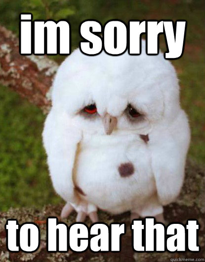 im sorry                                               to hear that - im sorry                                               to hear that  Depressed Baby Owl