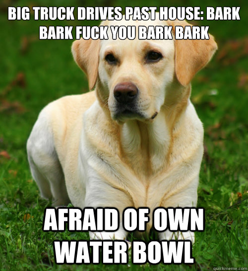 Big truck drives past house: bark bark fuck you bark bark afraid of own water bowl  Dog Logic