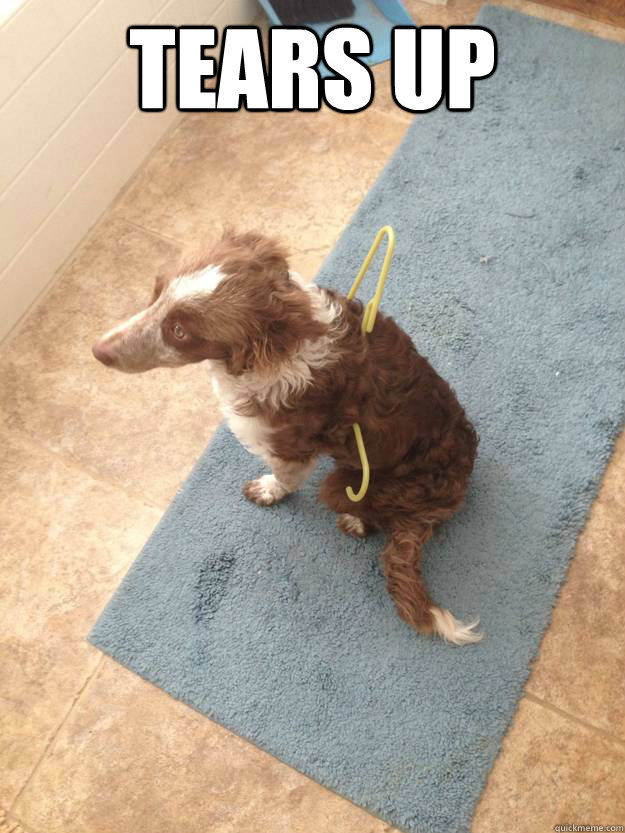 TEARS UP  - TEARS UP   Misc